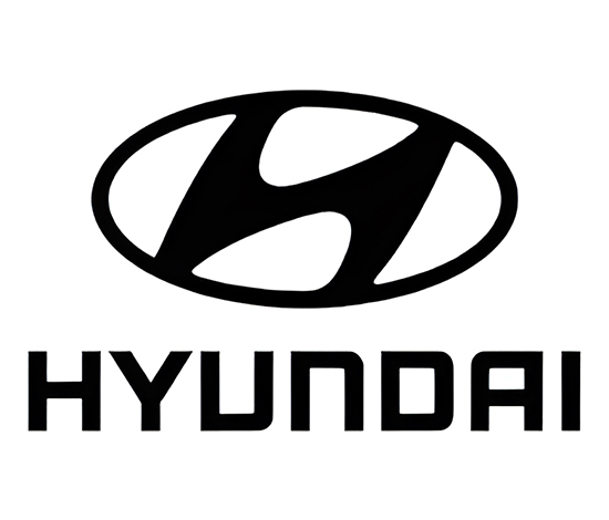 Hyundai Items