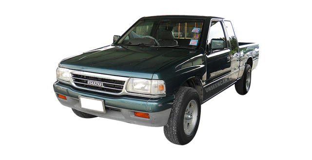 ISUZU TFR